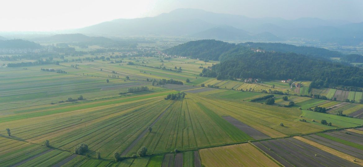 Barjebanner