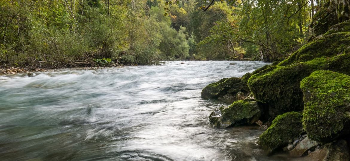 River_Kokra_(15173110457)