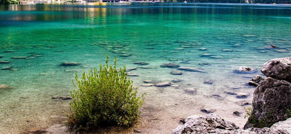 pogled na zeleno modro vodo jezera iz obale