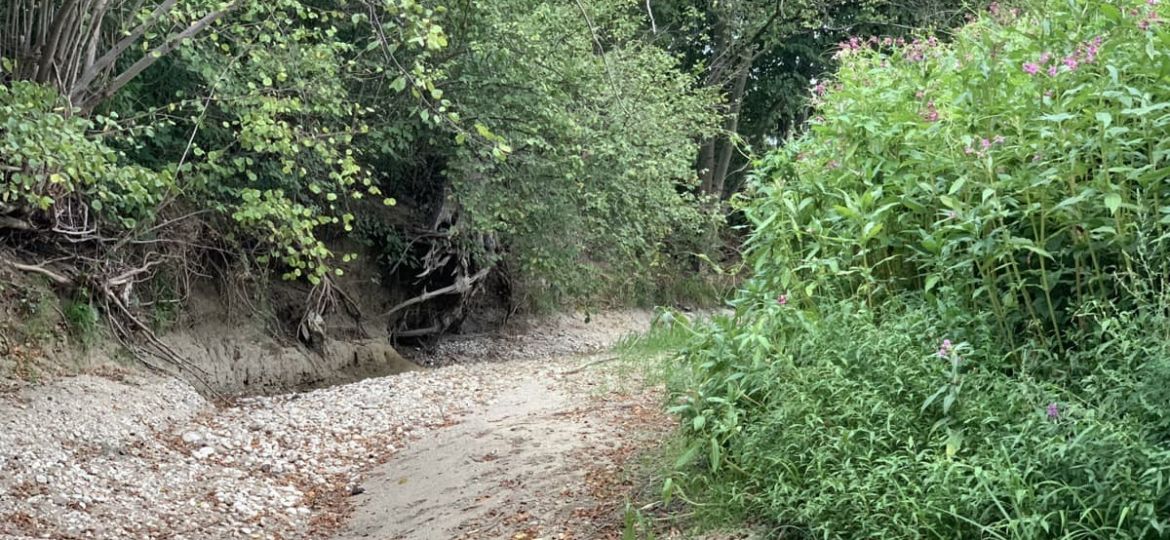 Suha struga reke Pšate, desnega pritoka Kamniške Bistrice