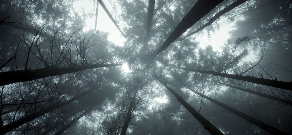 jonathan-marchal-u3xwealcq5q-unsplash-1170