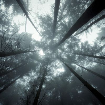 jonathan-marchal-u3xwealcq5q-unsplash-1170